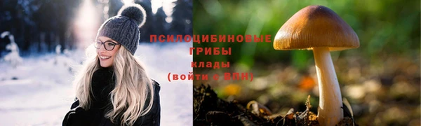 сатива Алексин
