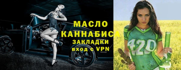 мет Ельня