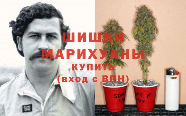 бошки Алексеевка